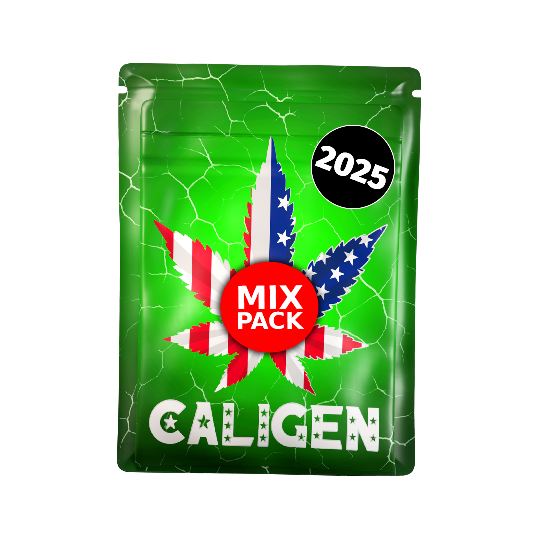 2025 Mix Pack Auto