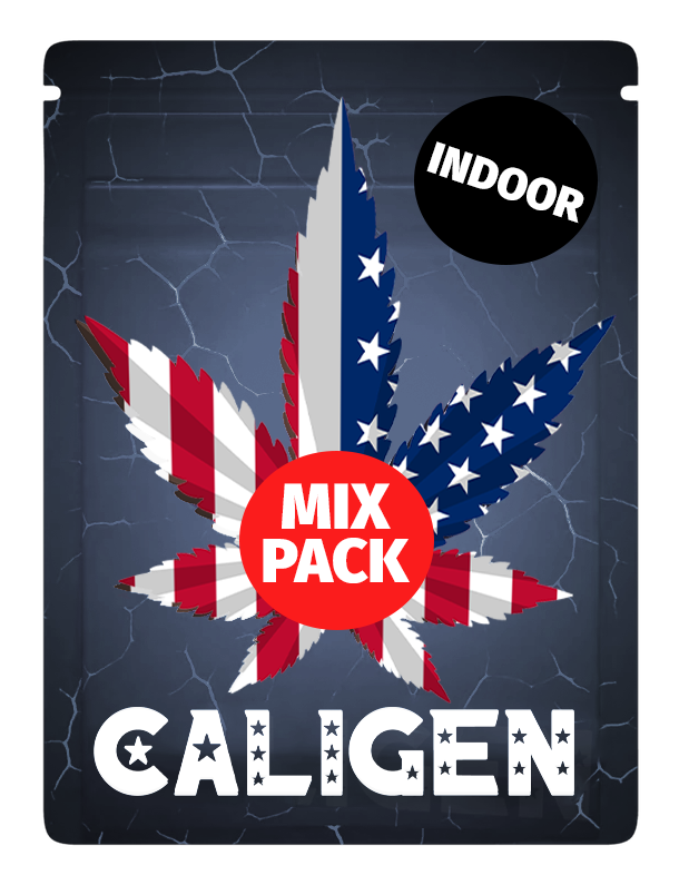 Indoor Mix Pack - 5 Seeds