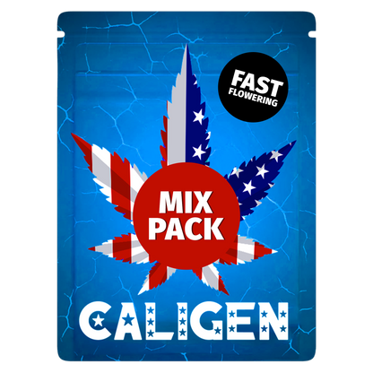 FAST FLOWERING AUTO MIX PACK